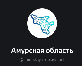 Единый региональный сервис Амурской области.