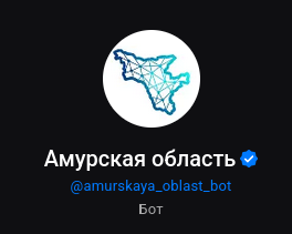Все полезные ресурсы Амурской области — теперь в одном месте!