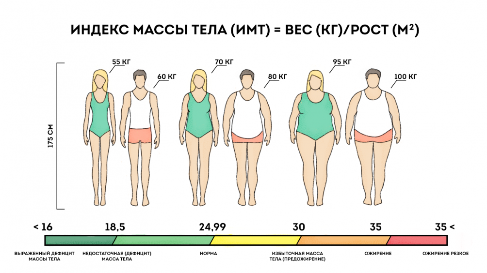 У человека 1 4 кг