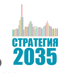 Общественные обсуждения по проекту стратегии социально-экономического развития Амурской области на период до 2035. 